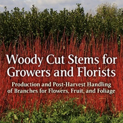 Finally, a guide to growing woody plants for cutting